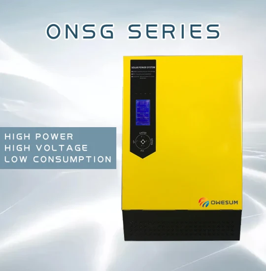 Onsg 800W a 4000W Controlador solar de onda sinusoidal Inversor integrado