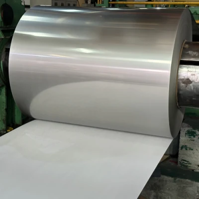 Excelente proveedor de material de acero inoxidable de China ofrece placa plana de acero inoxidable, bobina de acero inoxidable y otros productos de acero inoxidable